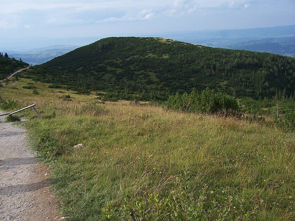 Przełęcz Nosalowa - Olczyska Polana