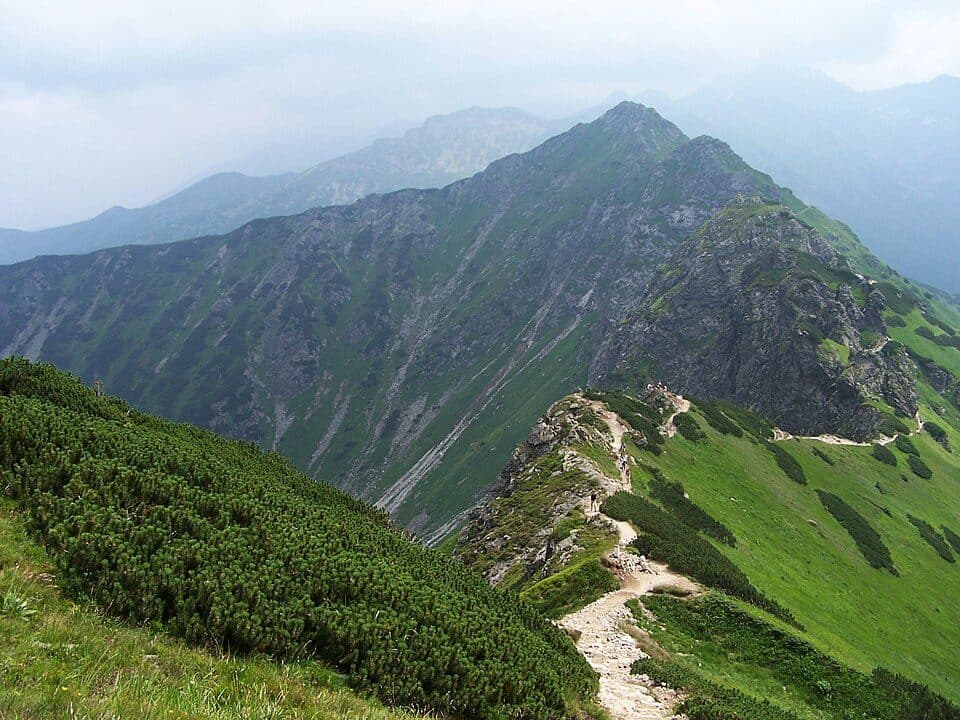 Przełęcz w Grzybowcu - Wyżnia Kondracka Przełęcz