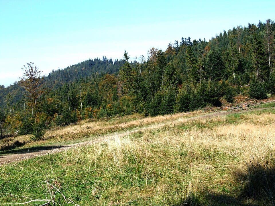 Pośrednie (przełęcz)