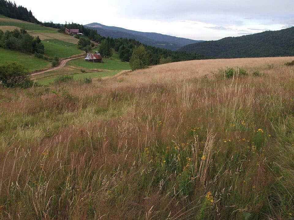 Przysłopek (przełęcz pod Myszycą)