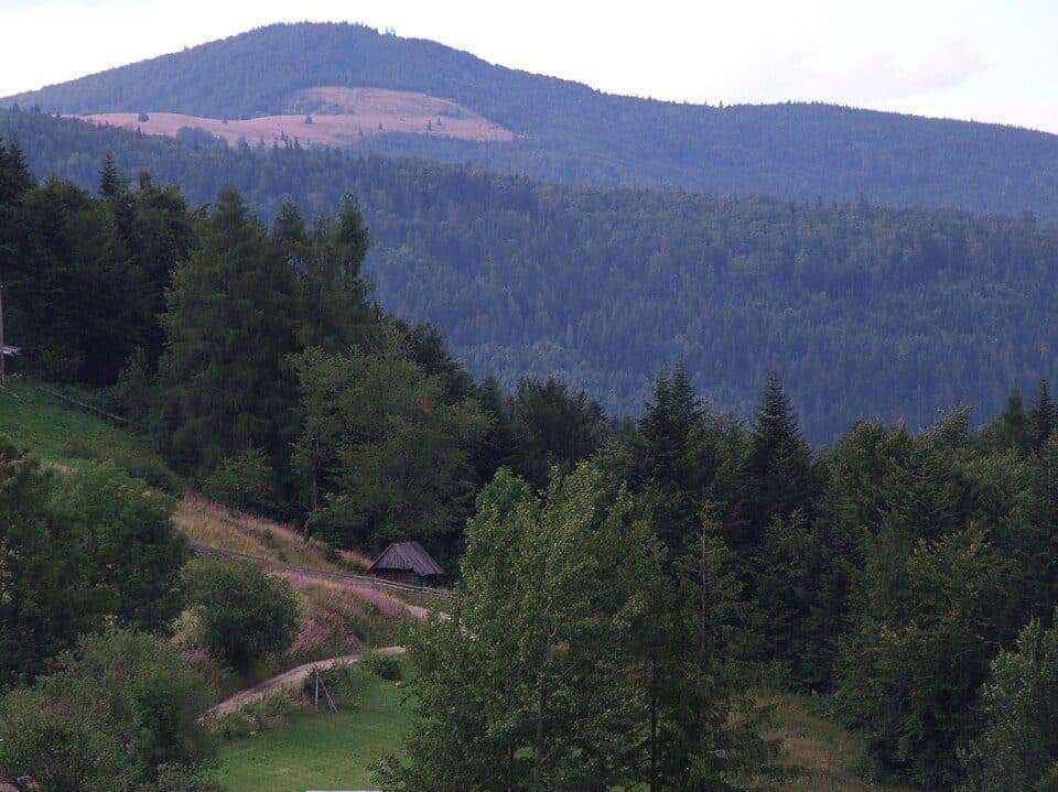 Przysłopek (przełęcz pod Myszycą) — zdjęcie 2