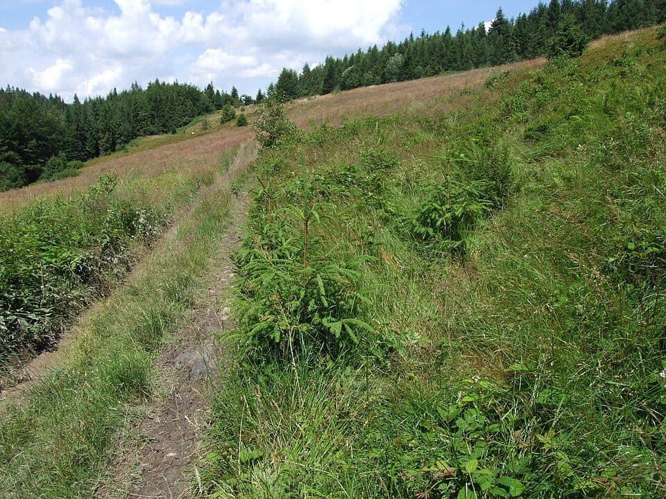 Przełęcz pod Kobylicą