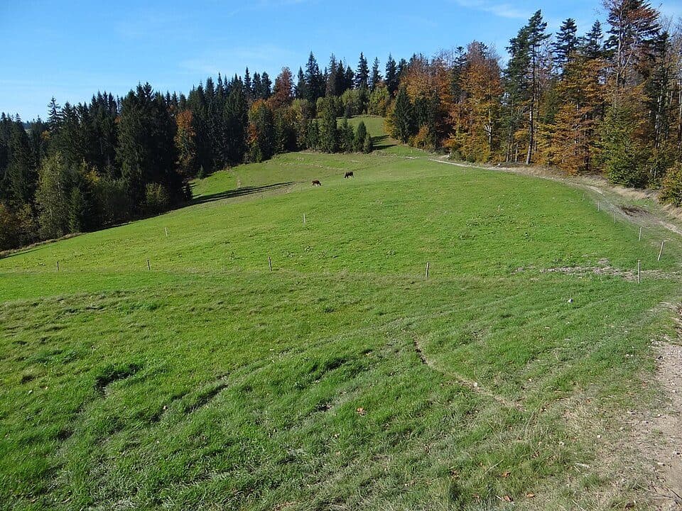 Przełęcz Pod Żeleźnicą