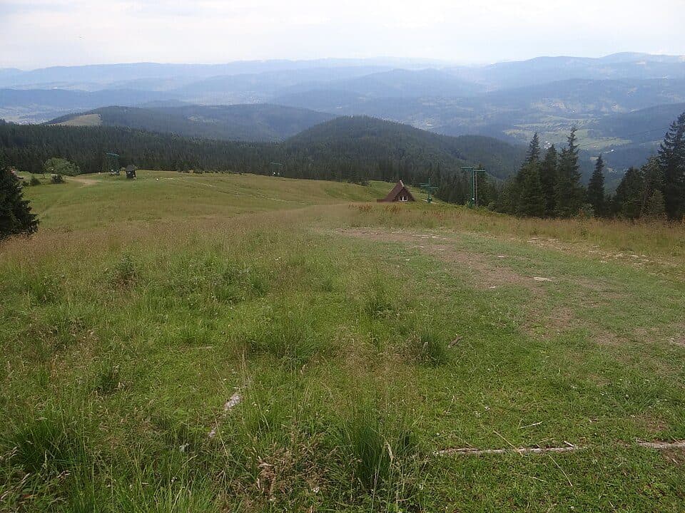 Hala Miziowa