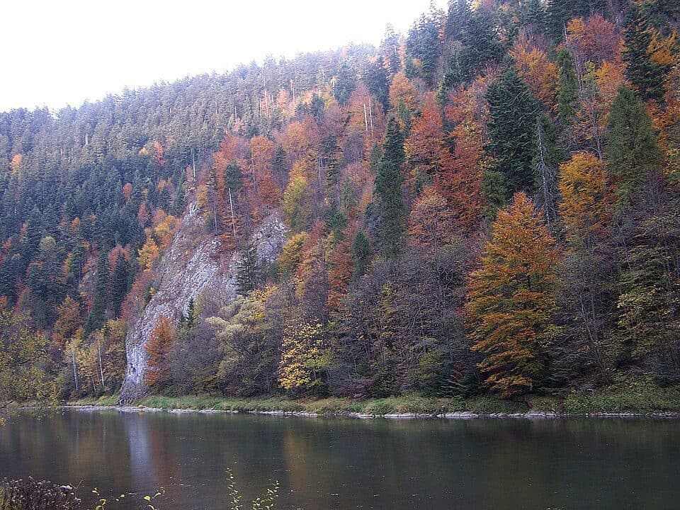 Świnia Skała