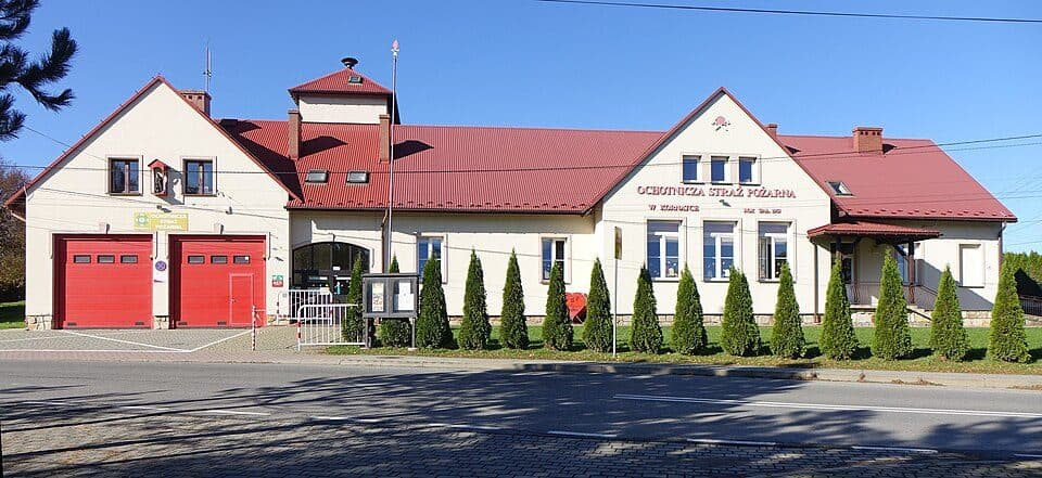 Niezapominajka