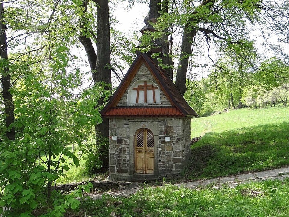Kotoń — fotografia 2