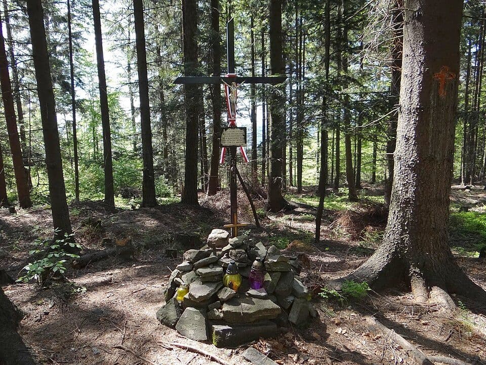 Kotoń - Zębolowa