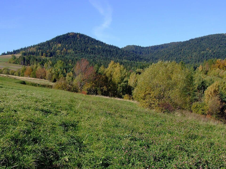 Mszana Dolna - Ćwilin