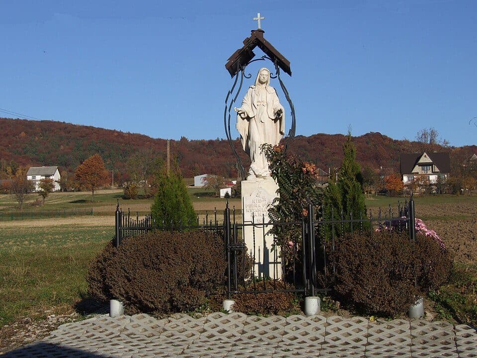 Niezapominajka