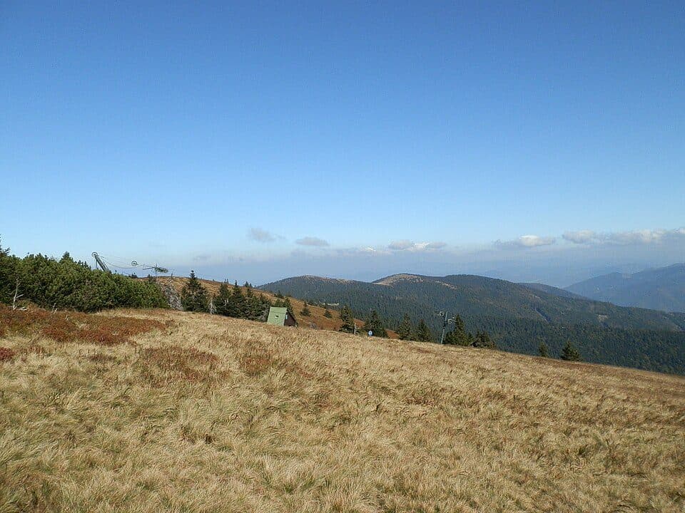 Prašivé