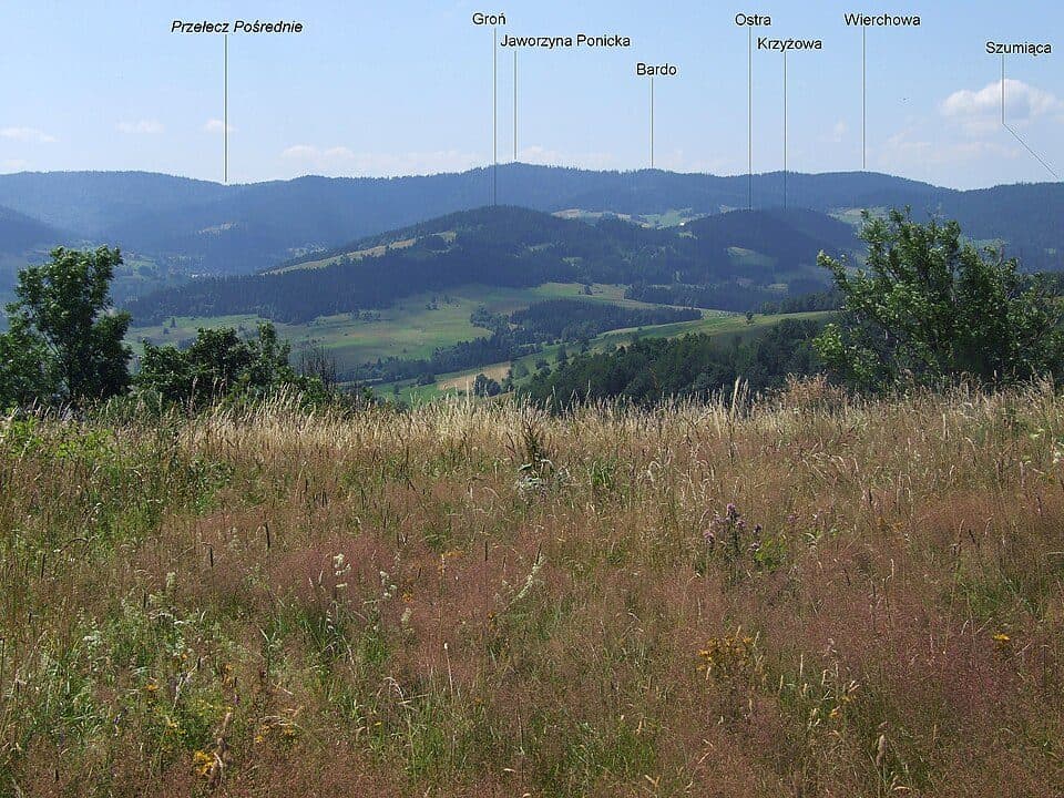 Rabka Słone - Maciejowa