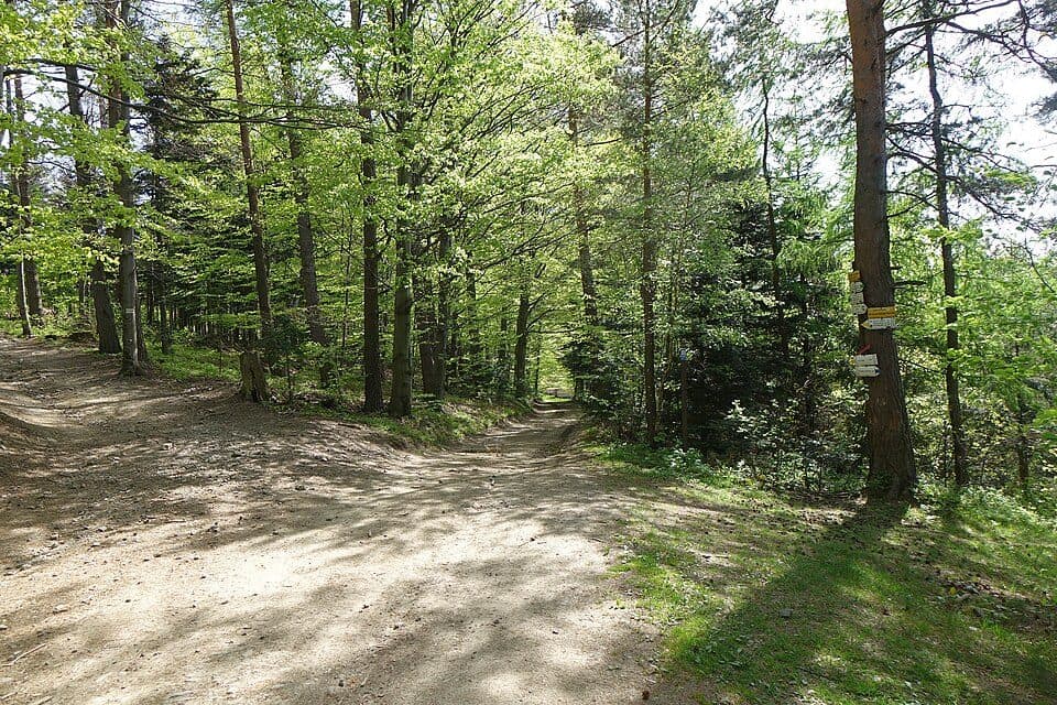 Przełęcz Bukowska (Beskid Mały)