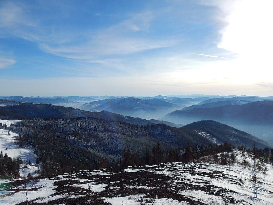 №504 Трускавець – Славсько