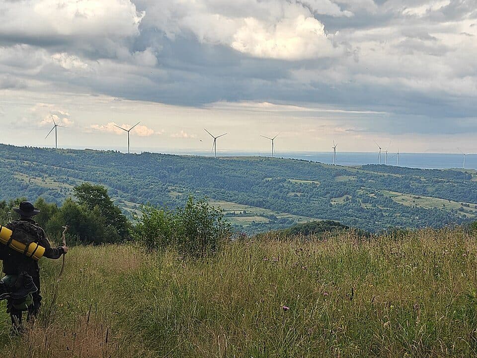 Орівський