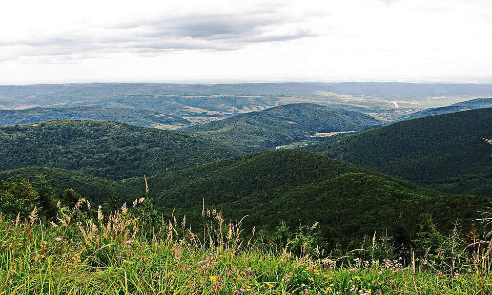 № 5044 Монастир Коростів - Парашка