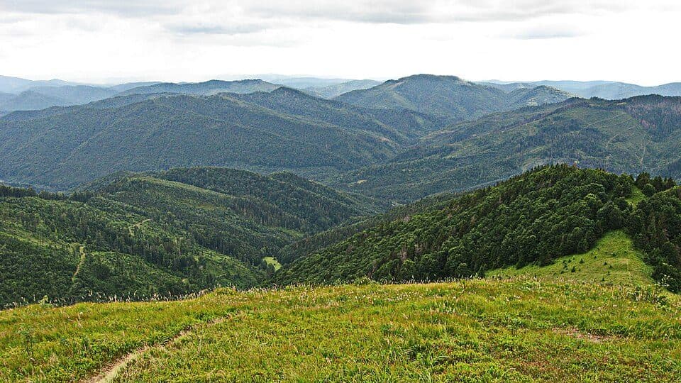 №504 Трускавець – Славсько