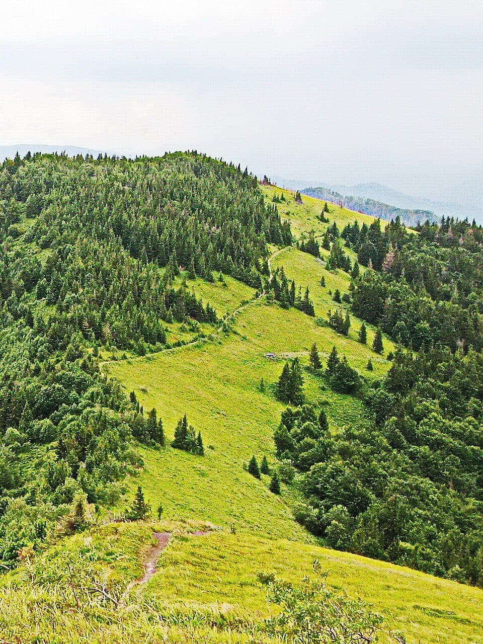 № 5044 Монастир Коростів - Парашка