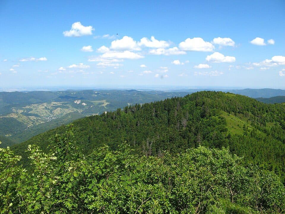№ 5043 Джершин-Зелемінь-Кудирявець-Лопата