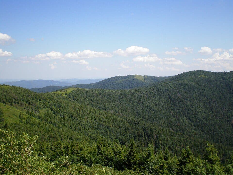 № 5043 Джершин-Зелемінь-Кудирявець-Лопата