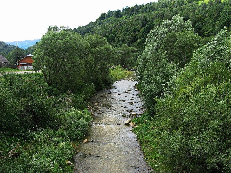 Tyszownica