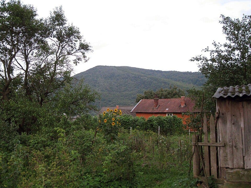 №5045 «Колодка-Перехресне»