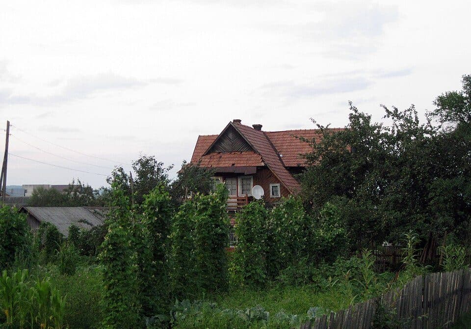 №5044 «Долиною річки Кам'янка»