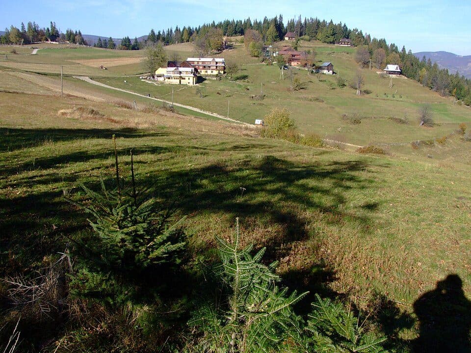 Majcherek