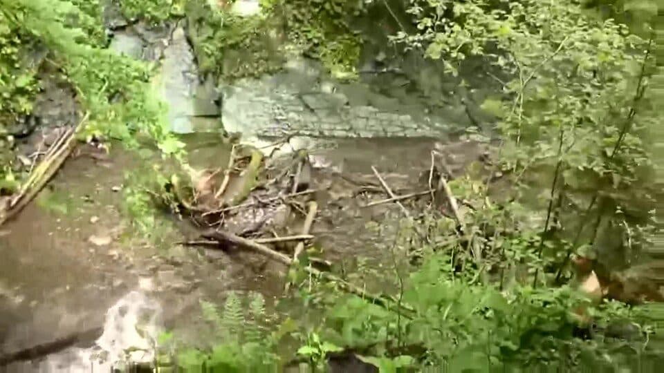 №5049 «Сопітські мандри від водоспаду до полонини»