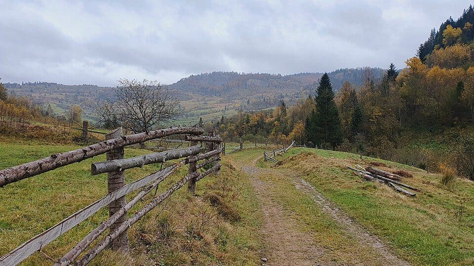№501 Сколе – Скелі Довбуша