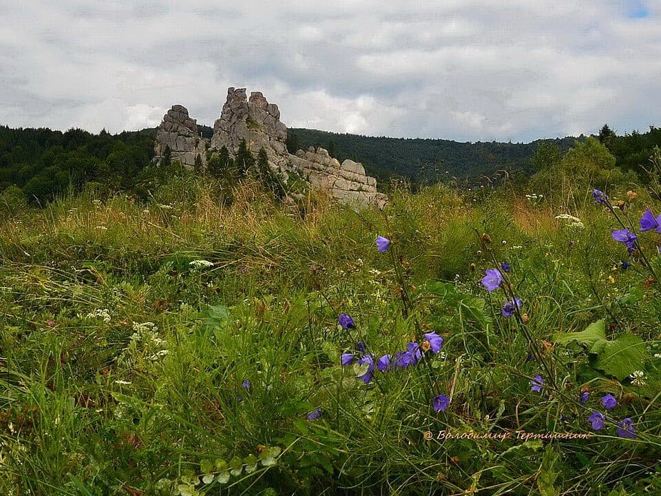 №5050 Тустань – Карпатські полонини