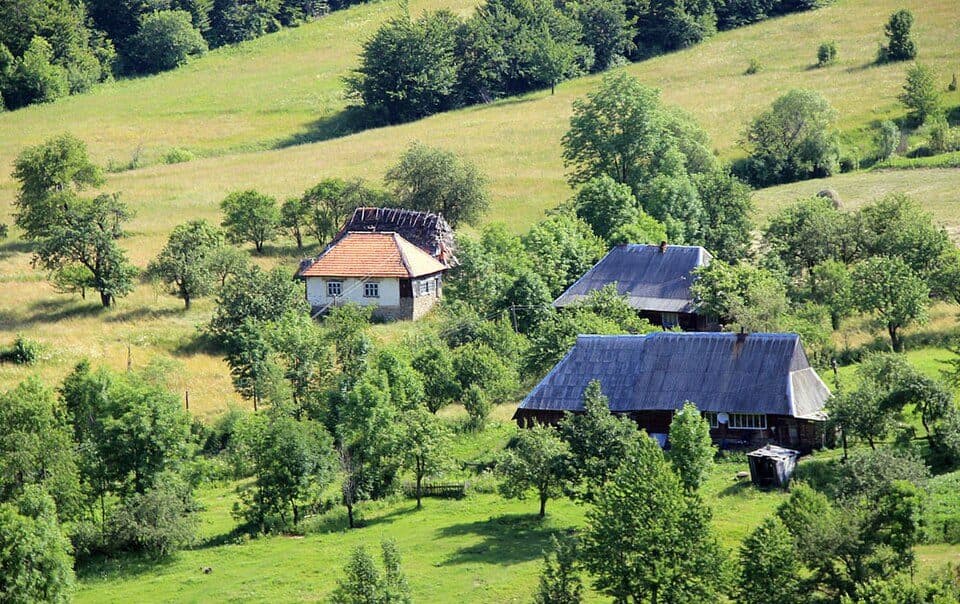 Ужок - Дрогобицький камінь