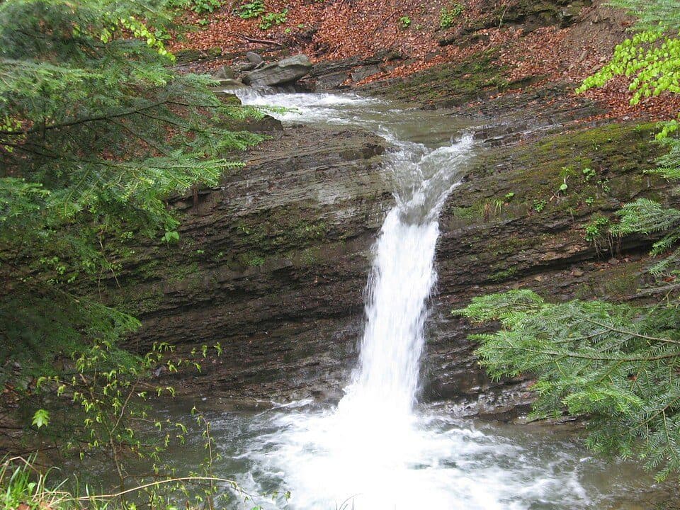 Polonyna Runa