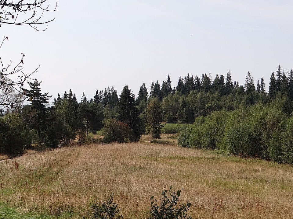 Obidowa (Gorce)