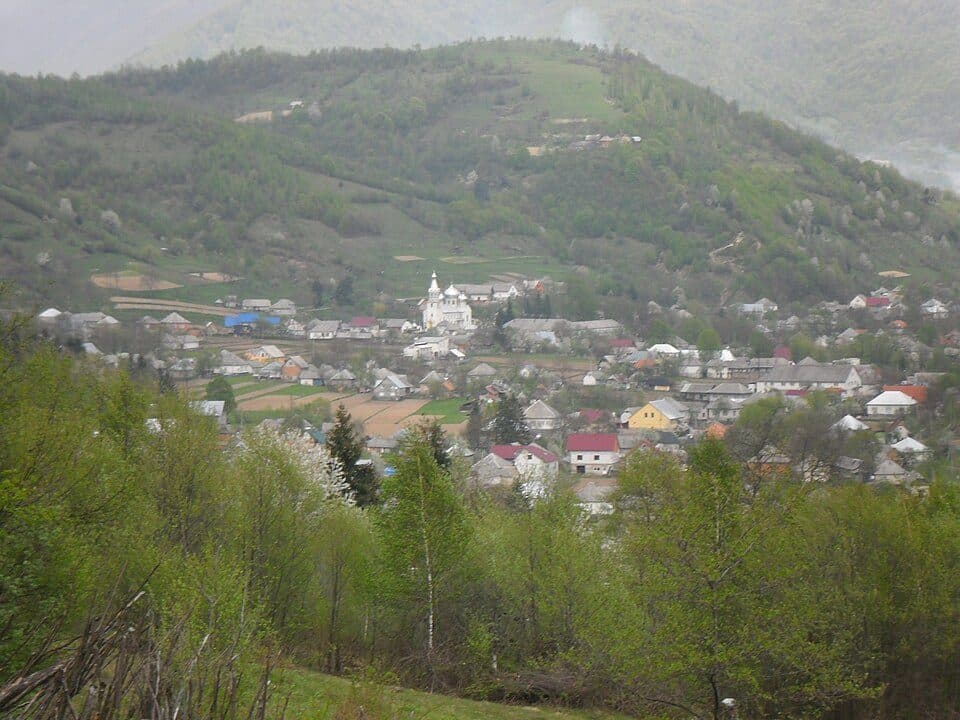 Лисичово — zdjęcie 1