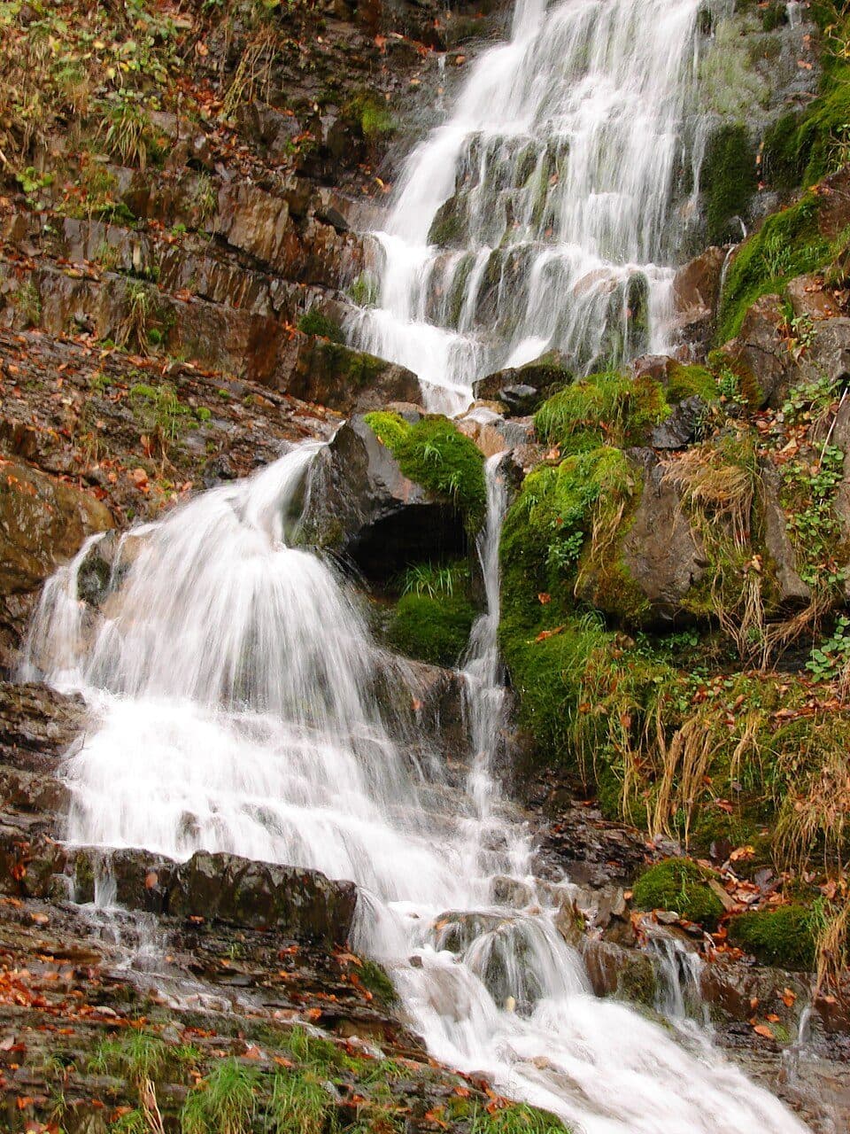 Кам'янка