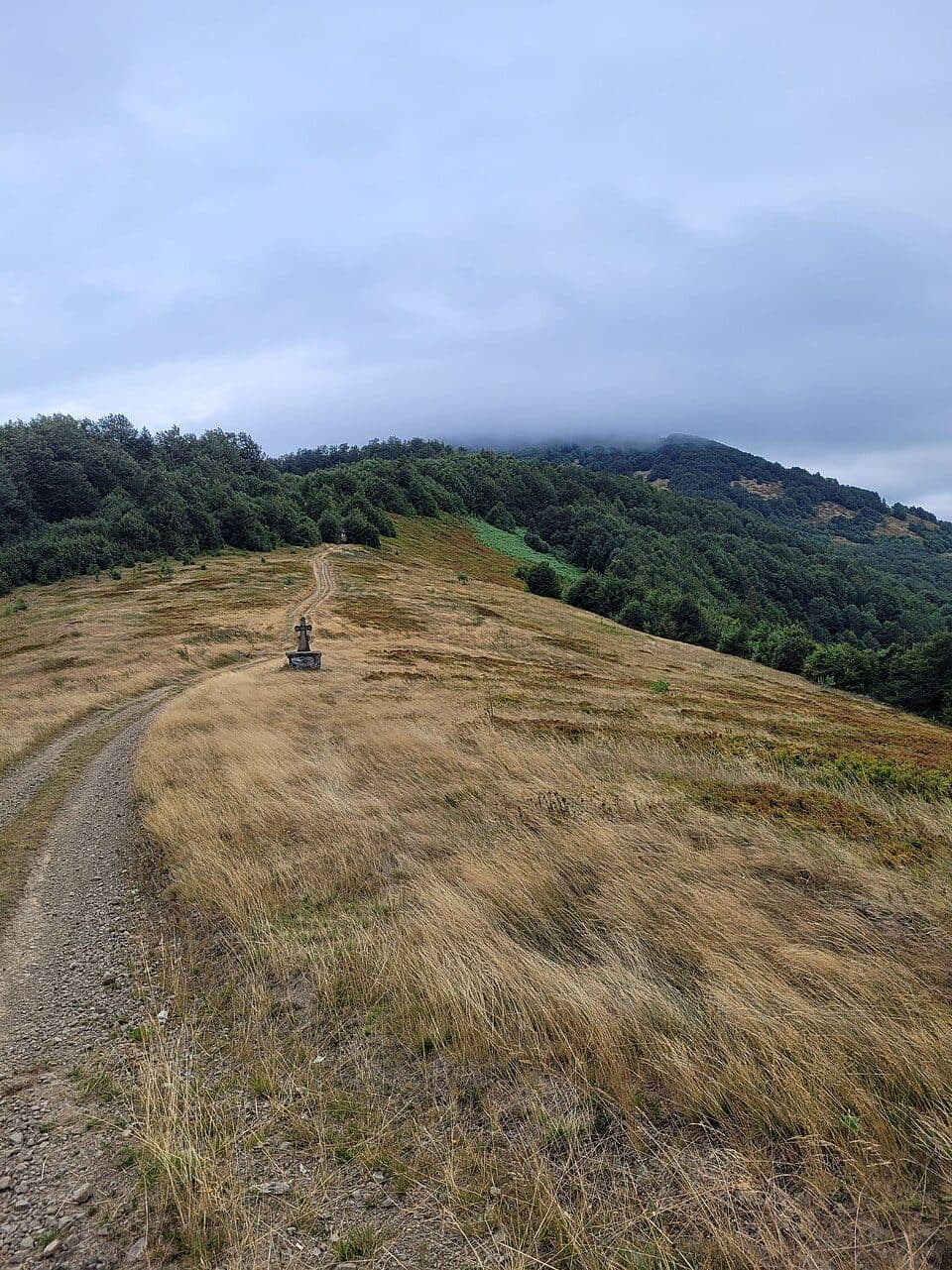 Pryslip (Połonina Borżawska) — zdjęcie 3