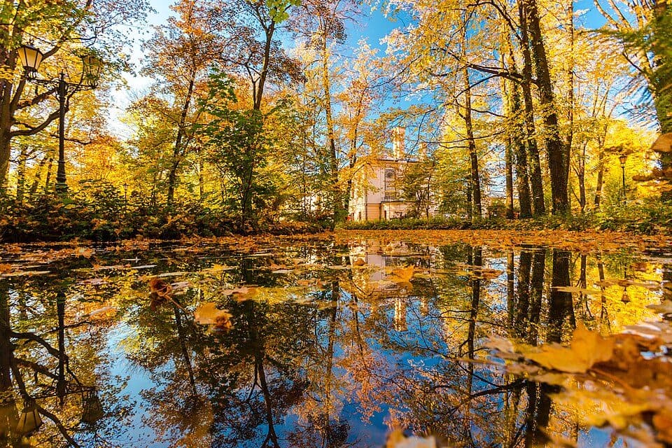Szlakiem zabytków architektury miasta Żywca