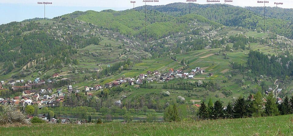 Modyń - Szafranówka