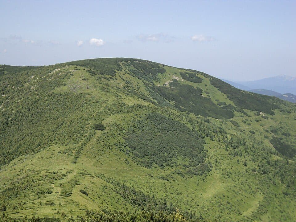 Durnia