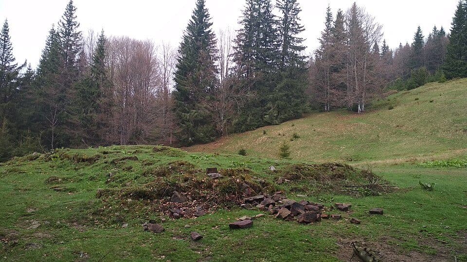 Pantyr — photo 3