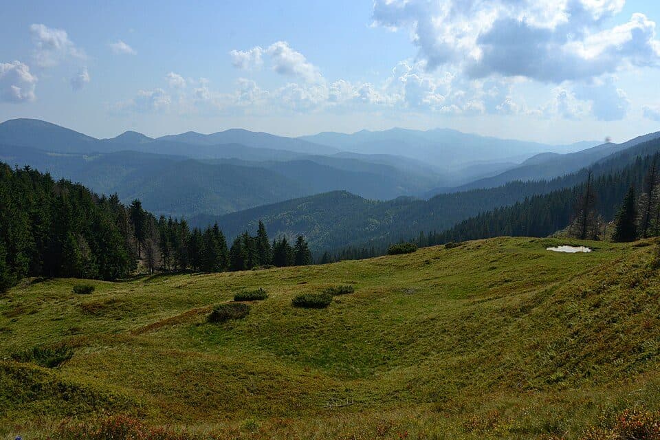 Tavpišyrka — fotografie 2
