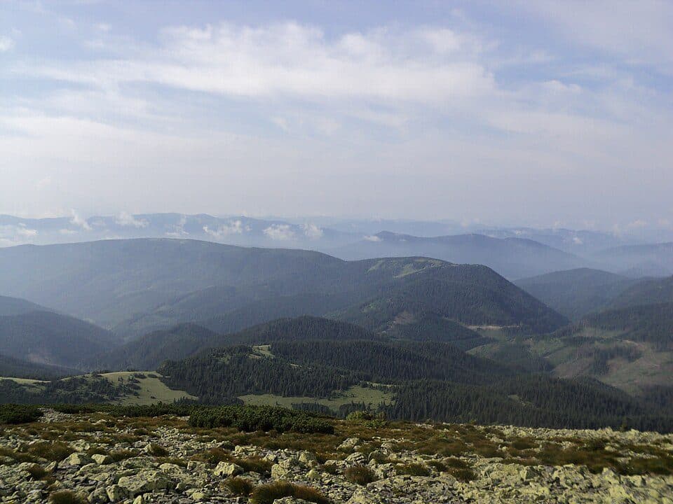 Tawpiszyrka