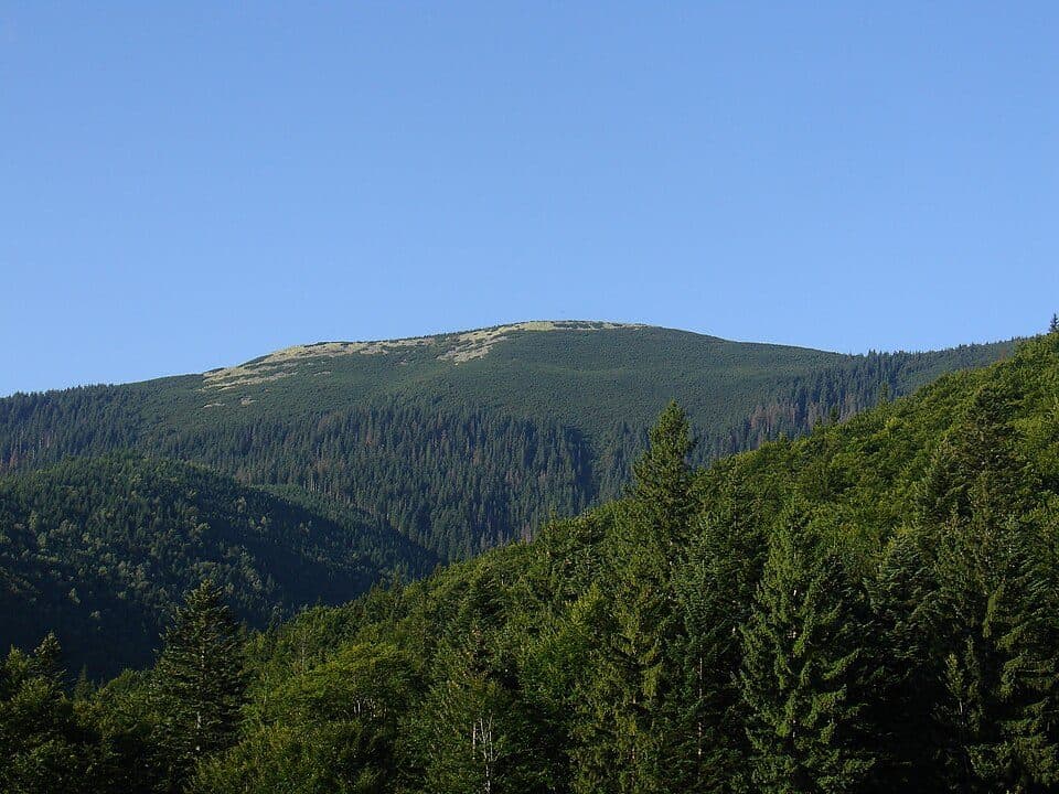 Arszycja (grzbiet)