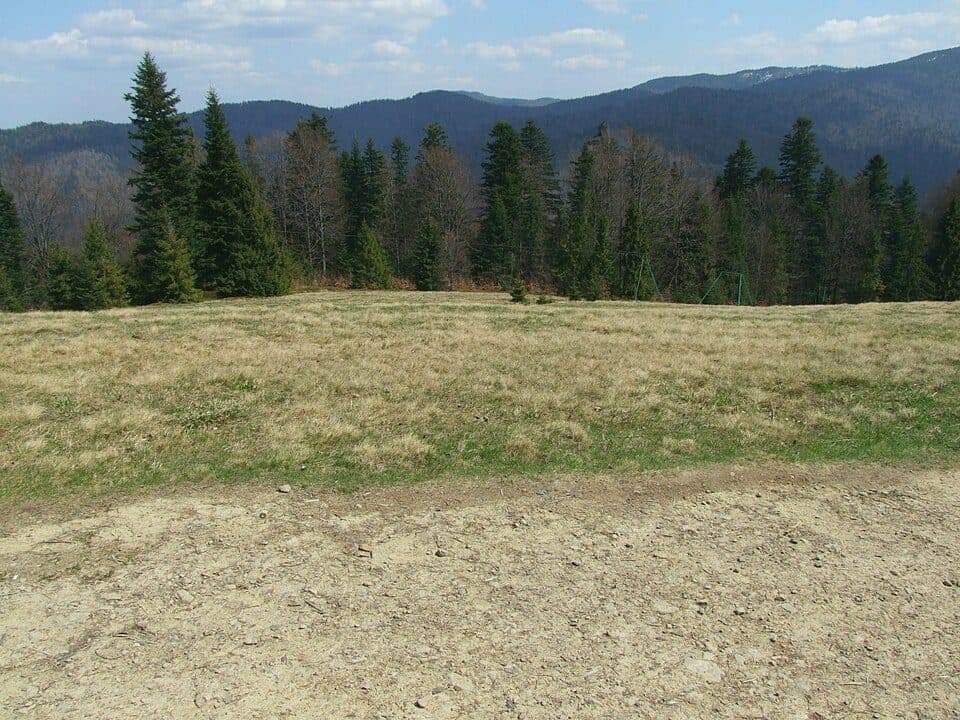 Suchy Groń (Gorce)