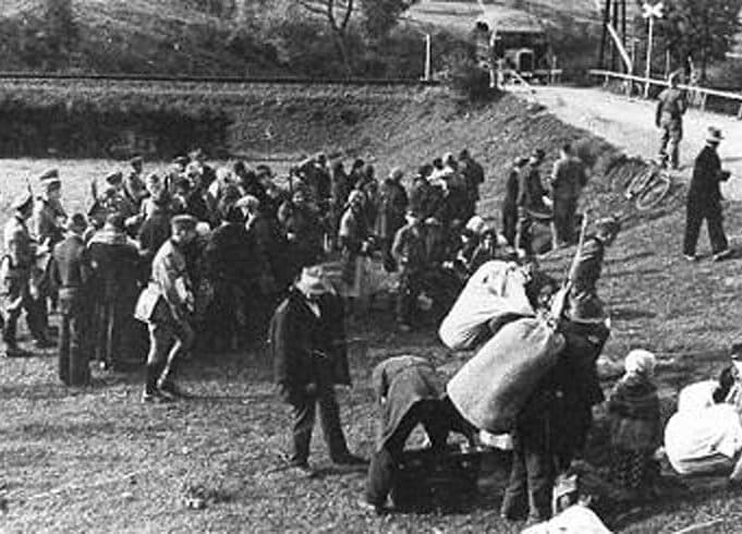 Sól - Rycerka