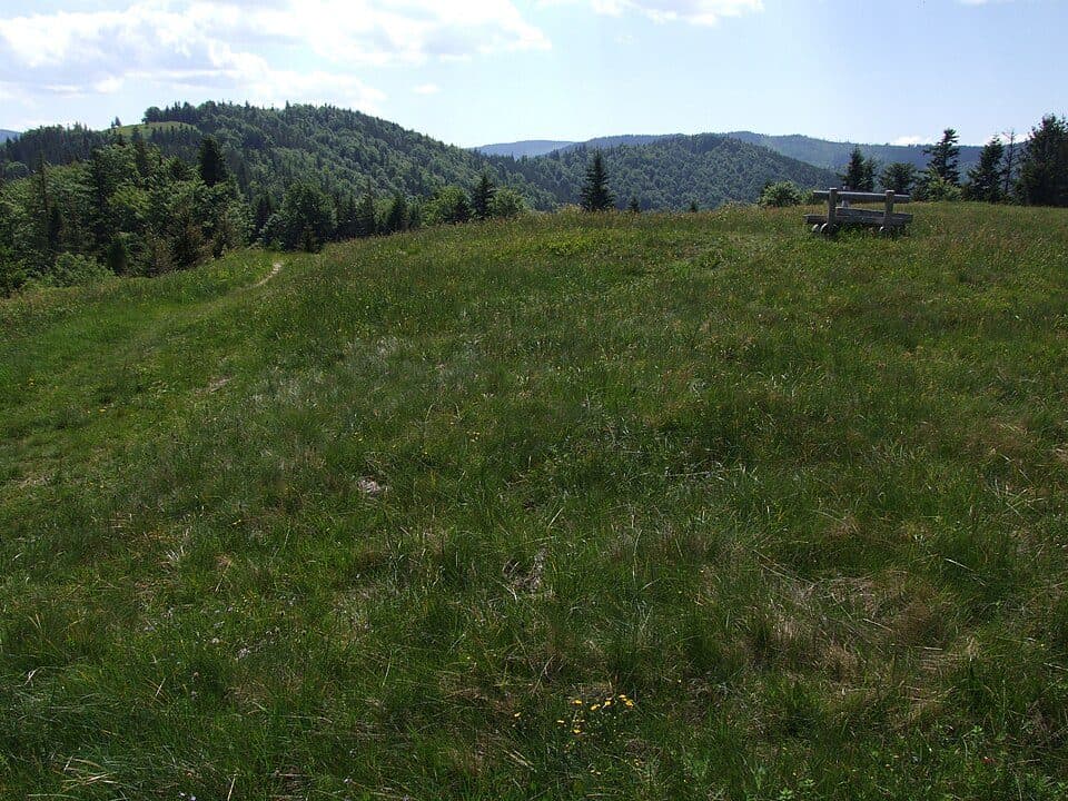 Wierch (Gorce)