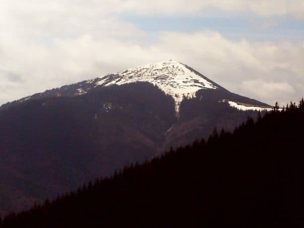 Chomiak — zdjęcie 2