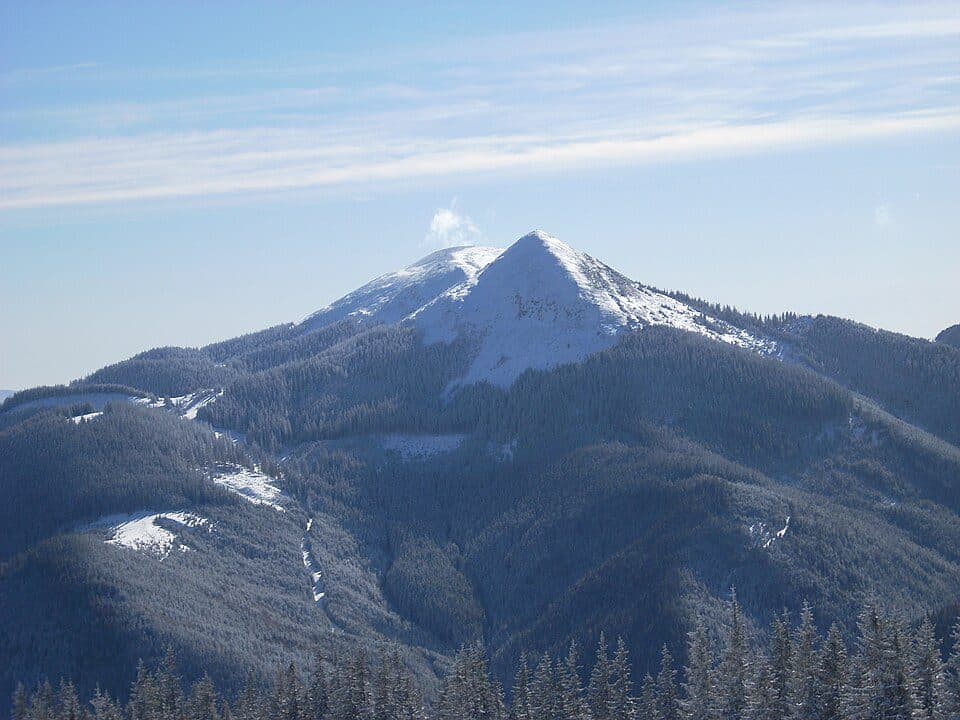 Syniak