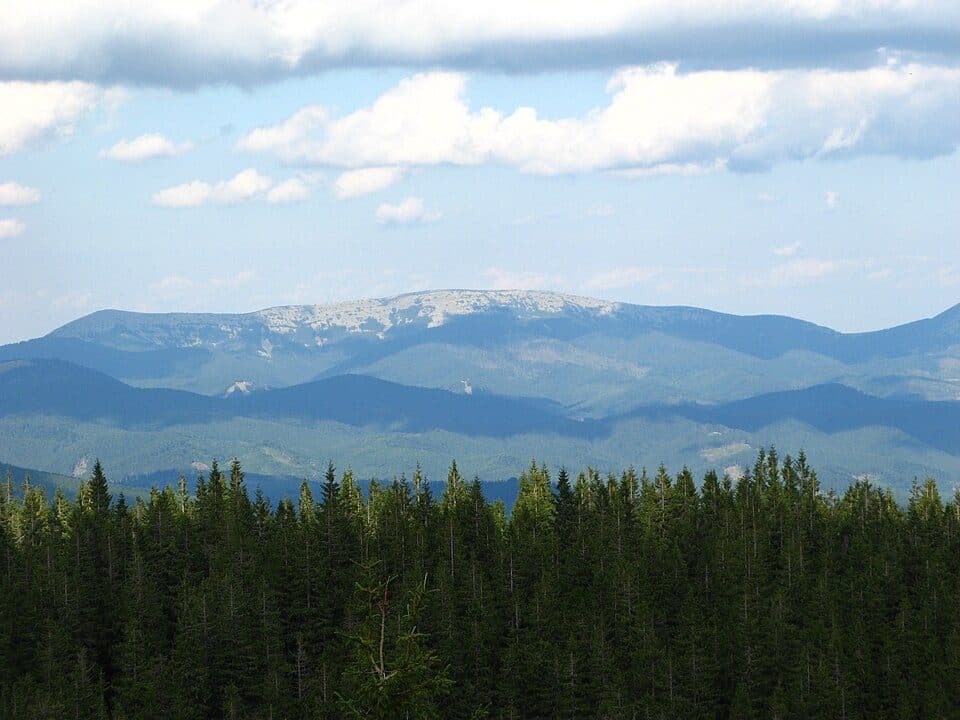 Панорамний